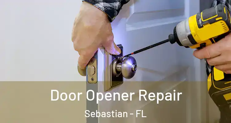  Door Opener Repair Sebastian - FL