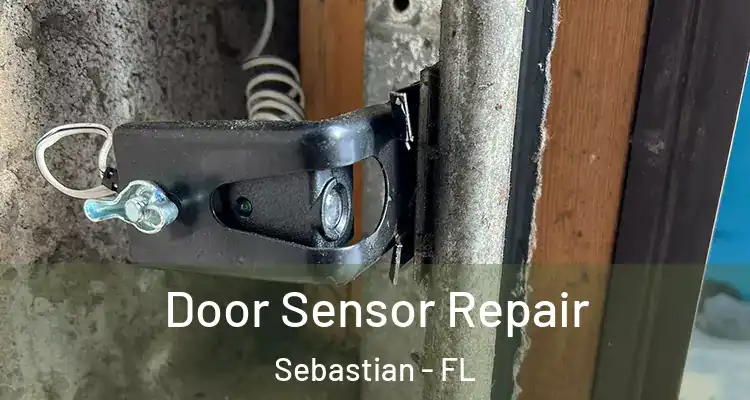  Door Sensor Repair Sebastian - FL